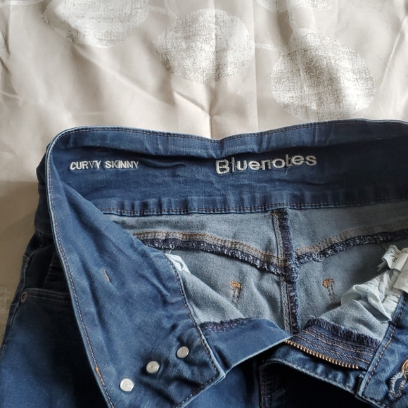 Bluenotes Olivia high rise jeans - Picture 3 of 5